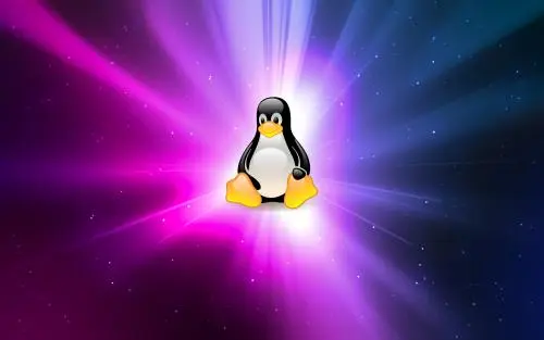 Linuxѵôѡ