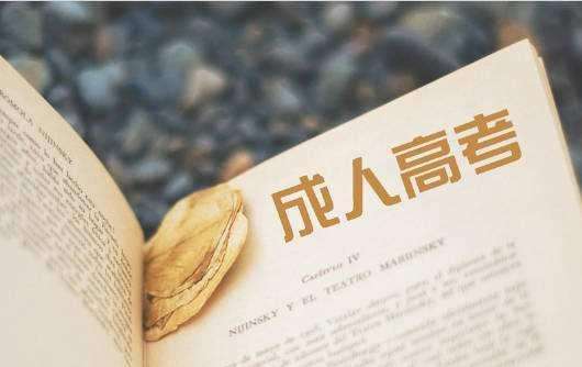 成人高考 成人高考