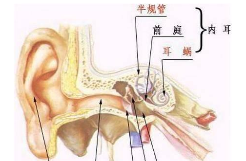 耳石症的特征及诊断方法 耳石症的特征及诊断方法