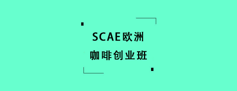 SCAEŷ޿ȴҵѵ