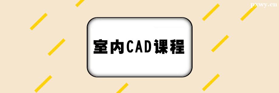 CADγѵ