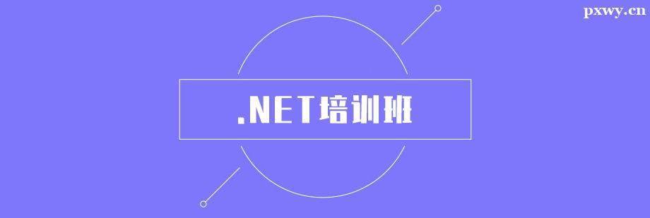 .NETѵ