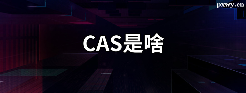 CASʲô˼