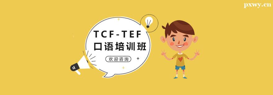 TCF-TEFѵ