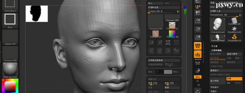 ZBrushѧ