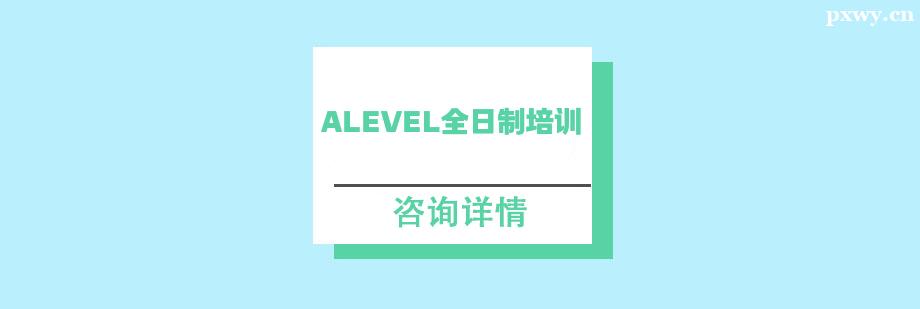 ALevelȫѵ