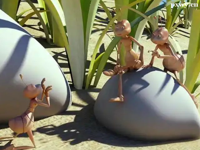 ���������γ���ѵѧУ