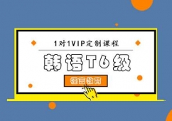 T6VIPγ