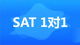 ɶ½SAT11γ