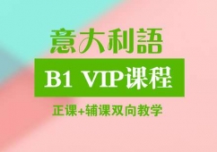 ɶB1 VIPγѵ