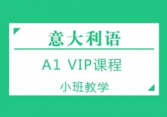 ɶA1 VIPγѵ