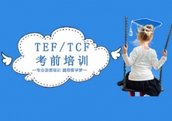 TEF/TCFǰѵ