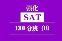 ȪSATǿ1300ѵࣨB