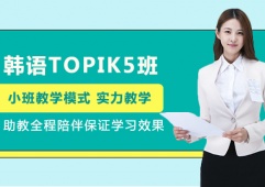 TOPIK5ѵ