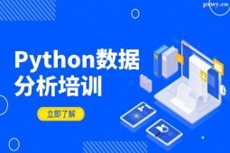 ɳPythonݷʦѵ