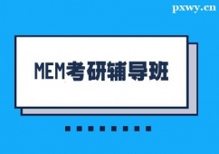 {MEMи