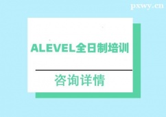 ALevelȫѵ