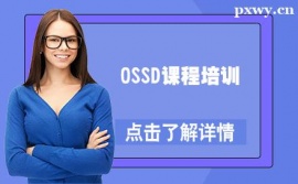 OSSDγѵ