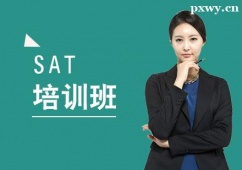 ����SAT��ѵ