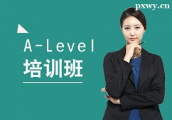 ����A-LeveI��ѵ��